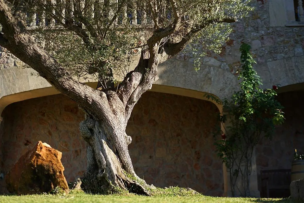 Cal Xino Villa Pollenca Spain